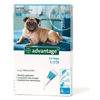 Advantage Dog Medium 4-10kg (Per amp)