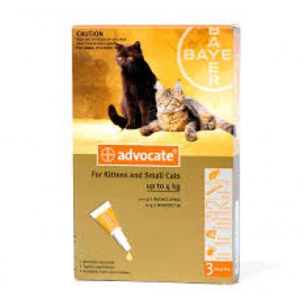 Advocate Cat Small 1-4kg orange (Per amp)