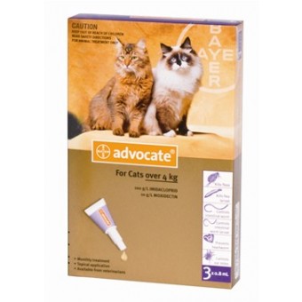 Advocate Cat Large 4kg+ purple (Per amp)