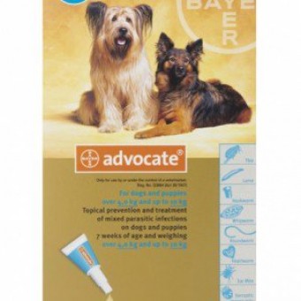 Advocate Dog Medium 4-10kg turquoise (Per amp)