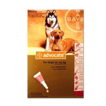 Advocate Dog Large 10-25kg red (Per amp)