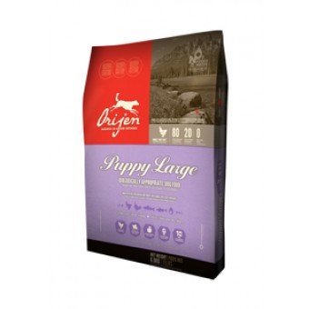 Orijen Large Puppy 11.4kg