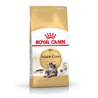 Royal Canin Feline Maine Coon 31 2kg
