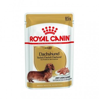 Royal Canin Adult Dachshund pouches box of 12