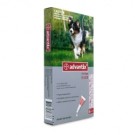 Advantix Dog Large 10-25kg (Per amp)