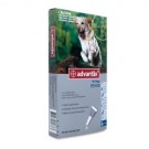 Advantix Dog Extra Large 25kg+ (Per amp)