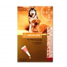 Advocate Dog Large 10-25kg red (Per amp)