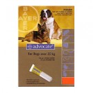 Advocate Dog Extra Large 25kg+ blue (per amp)