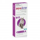 Bravecto cat spot on 6.25-12.5kg