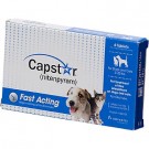 Capstar Small 1 tablet per 5-11kg (Price per tablet)