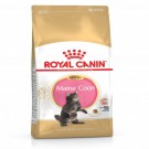 Royal Canin Feline Kitten Maine Coon 36 4kg