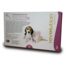 Revolution for Kittens and Puppies (Per Amp)