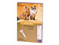 Advocate Cat Large 4kg+ purple (Per amp)