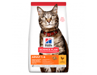 Hill's Adult Dry Cat Food Chicken Flavour 300g
