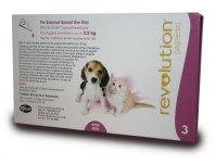 Revolution for Kittens and Puppies (Per Amp)