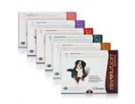 Revolution Dog 20-40kg Per Amphule